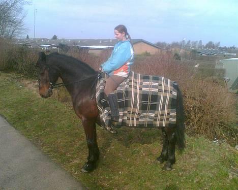 Anden særlig race DIBA - 11.3  Diba og jeg på tur :) fotograf: Katrine thinesen billede 10
