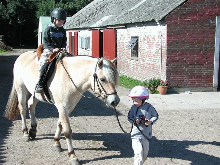Fjordhest Paw (solgt) - mine nevøer på 3 og 4 år, leger med Paw, i sensommersolen. sensommer 2006 :) billede 2