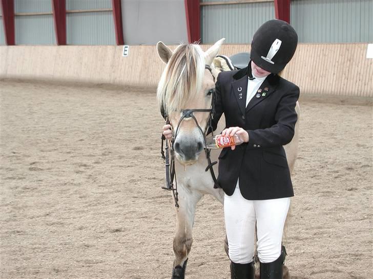 Fjordhest Paw (solgt) - Paw belønnes med cola, efter landsstævnet i military, på Hylke Ridecenter. efterår 2006 :) billede 3