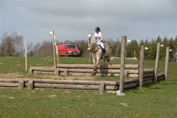 Fjordhest Paw (solgt) - militarystævne i Hammel (MJR) foråret 2007 billede 7