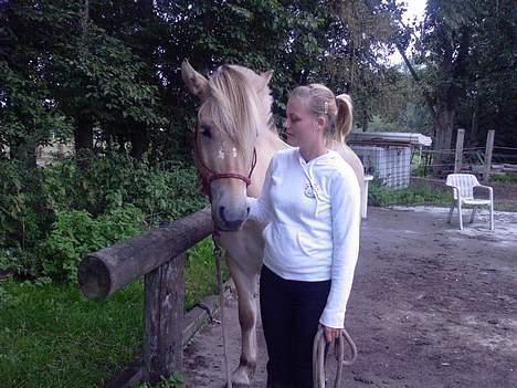 Fjordhest Nr. dam's Magic Survivor - Elsker dig! <3 billede 14