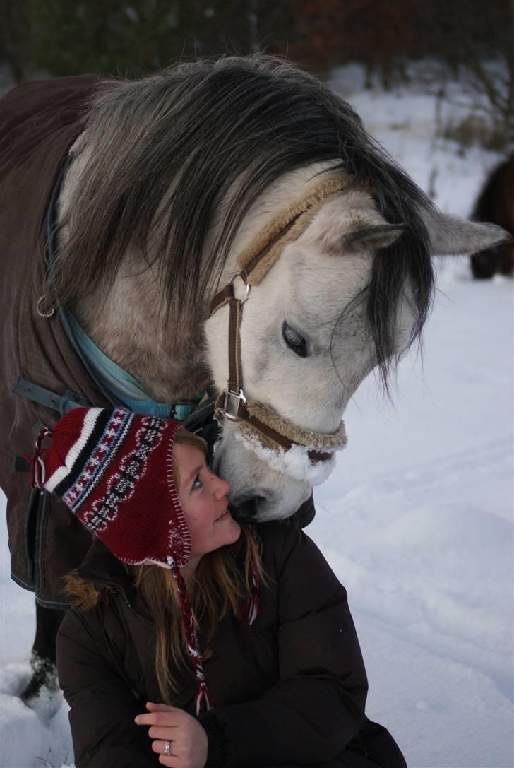 Anden særlig race Vanggården's Mister Magic - "You tell me the things about myself, that i don´t know!" <3 D. 23. december 2009  billede 10