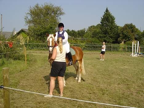 Haflinger San Diego +Død+ - Da vi vandt klubmesterskabet! billede 12