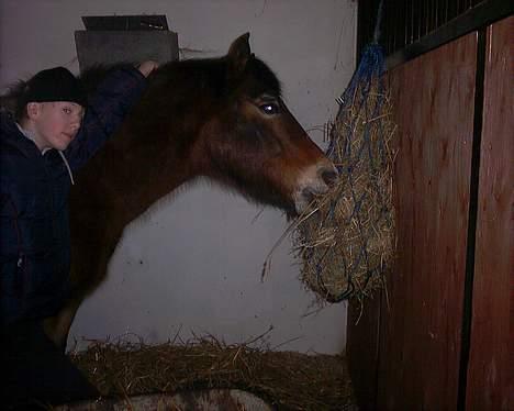 Anden særlig race My Lucky Lukas<3 - Solgt  - Vinter 2005  billede 10