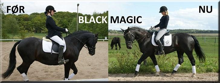 Anden særlig race Black Magic billede 7