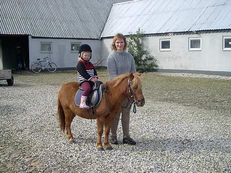 Shetlænder Ranaldi *SOLGT* - Min moster, Kusine og Ranaldi billede 2