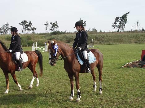 Anden særlig race Starlight <33 - Her har vi redet LD spring hvor vi fik en anden plads , det er vores første stævne <33 Sammen! <3 billede 1