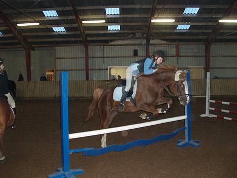 Anden særlig race Starlight <33 - Her springer vi bølge. Ca. 70-80 ..<3 billede 2