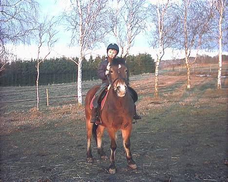 Anden særlig race My Lucky Lukas<3 - Solgt  - Min lillebror Christian og Lukas vinter 2005 billede 12