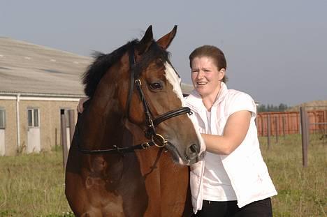 Welsh Partbred (Sec F) † Coelenhage's Pia † <'3 - Kig ikk på min mor ´heh  billede 15