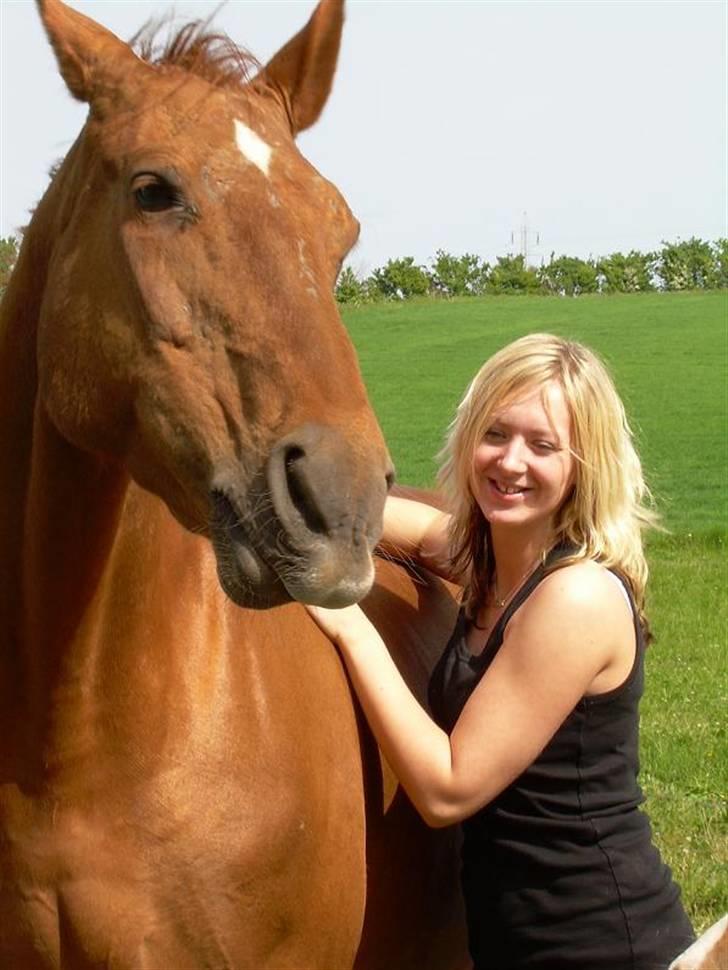 Dansk Varmblod Bella - Bella og jeg. D. 30. maj 2008.  billede 5