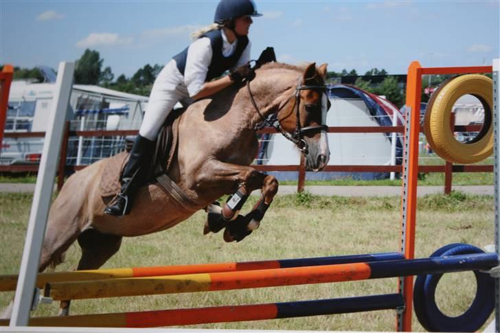 Welsh Cob (sec D) Hatting Kiss - Hammerum Pony Uge 2008 - Undskyld kvaliteten. Billedet er købt ved Photocorner, har taget billede af billedet.  billede 17