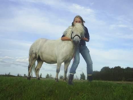 Shetlænder Stenaergaards Mimi R.I.P - Mig og Mimi Krammer billede 1
