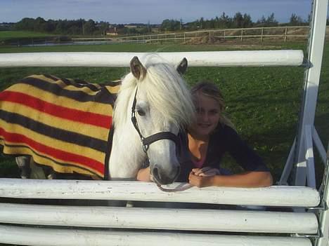Shetlænder Stenaergaards Mimi R.I.P - Mig og Mimi billede 12