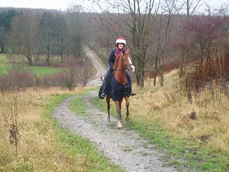 Anden særlig race Annabell - Part - NYT: galop op ad bjerget :D billede 4