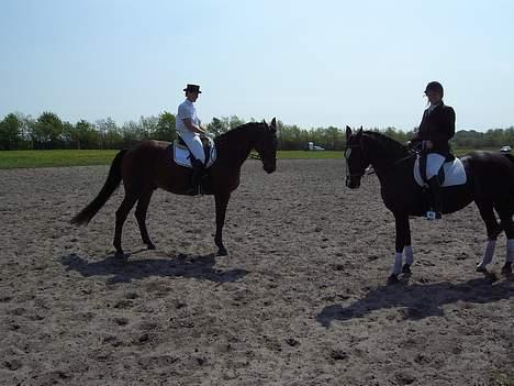 Dansk Varmblod G. Sweetie R.I.P' savnet. - Alle mennesker er engle med kun én vinge; kun ved at omfavne hinanden kan vi flyve. billede 5