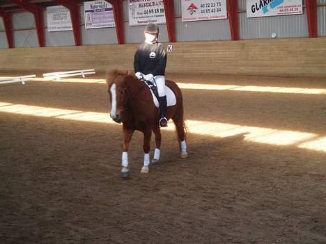 Anden særlig race Walker - VSR - Og så en cirkelvolte hehe... billede 8