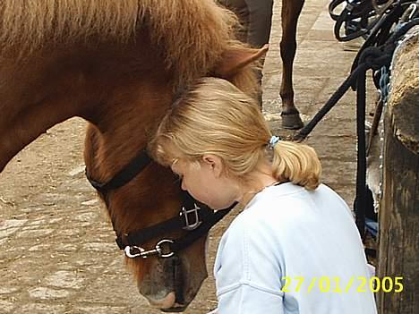 Anden særlig race Walker - VSR - Godbidder i farvandet ... ;D billede 10