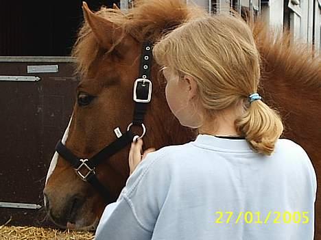 Anden særlig race Walker - VSR - Os <3 billede 11