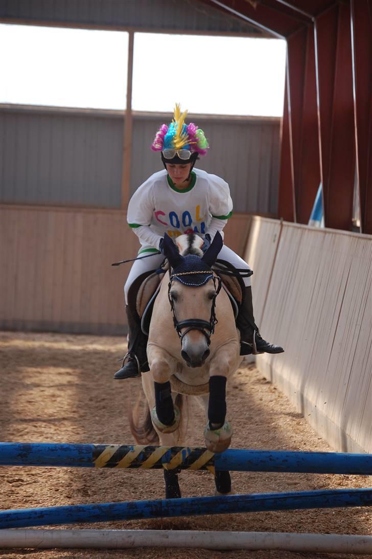 Fjordhest Laban <3  - stævne m. Sofie d. 1&2 august :) billede 1