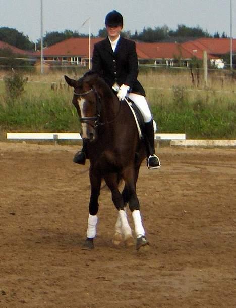 Dansk Varmblod Dinétt Stengaard *SOLGT* - Dinett og jeg i LA1 billede 11