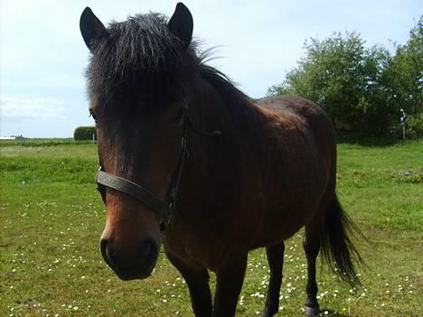 Anden særlig race Bjørn (Solgt) - Ser jeg fjollet ud nu :P billede 6