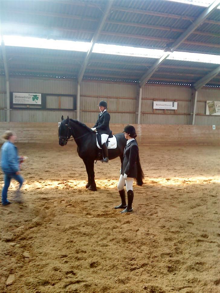 Frieser schalke / odin schelde.  R.i.p. (Himmelhest) - pyha det gik jo og alle er glade billede 9