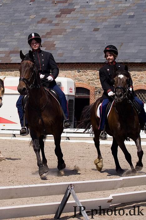 Oldenborg Linka - Linka og marquis til DM på vilhelmsborg i juni 2006 i kvadrille billede 1