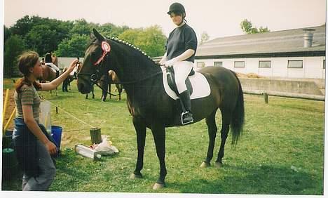 Oldenborg Linka - Linka og mig til Kvalifikations sræve i kvadrille i Møllebjerg billede 3