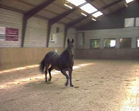 Oldenborg Linka - Uhh, det er farlig, billede 4