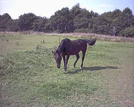 Oldenborg Linka - En rulletur ville gøre godt billede 5