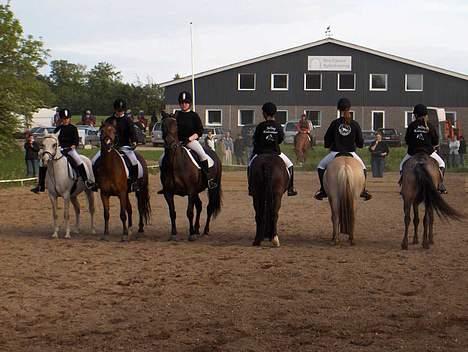 Oldenborg Linka - Mølle i kvadrille programmet. Fra venstre: Monty - Gilbert - Linka - Marquis - Fleur - Felix billede 7