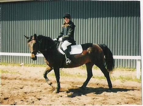 Oldenborg Linka - Linka og mig til stævne i give billede 12