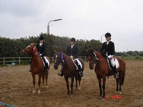 Anden særlig race Regina (Solgt) billede 13