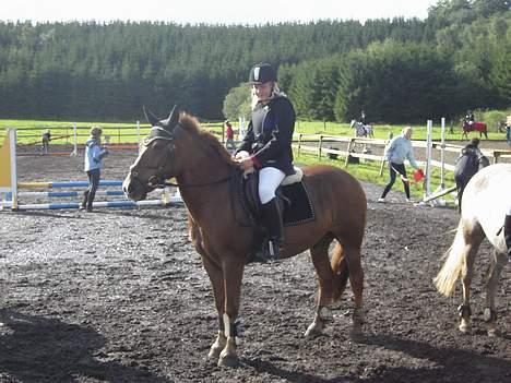 Anden særlig race  * Simon *   (Solgt) :'(  - hihi billede 5