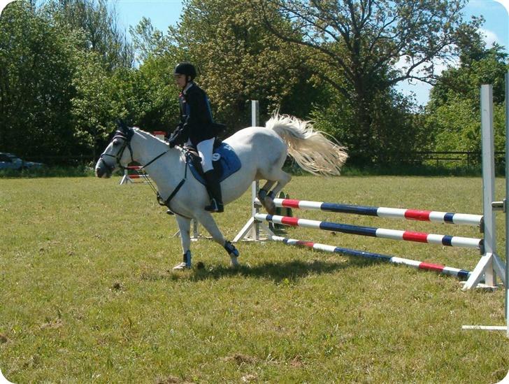 Irsk Sportspony Idom Aadahls Quickstep - LC i VJR 3/6  2006 billede 8