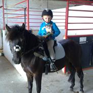 Gotlandsruss Teja´s Morian