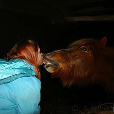 Islænder Røskva »Fortid, ikke fremtid.