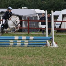 Welsh Pony (sec B) Ginie<3