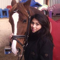 Hollandsk Varmblod ¨˜”°º• Rosa•º°”˜¨ Elsket & savnet.