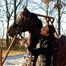 Hollandsk Sportspony SHAKIRA