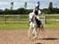 Welsh Pony (sec B) Ginie<3 - Stjerner!!   Foto: Berit Krintel 
