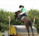 Welsh Pony af Cob-type (sec C) Calypso