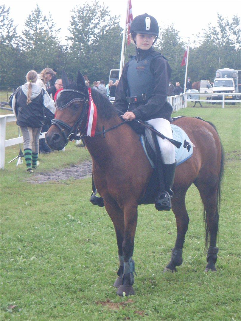 Anden særlig race Buster - Vi vinder alt når vi er sammen<3
Bording cuppen<3 billede 19