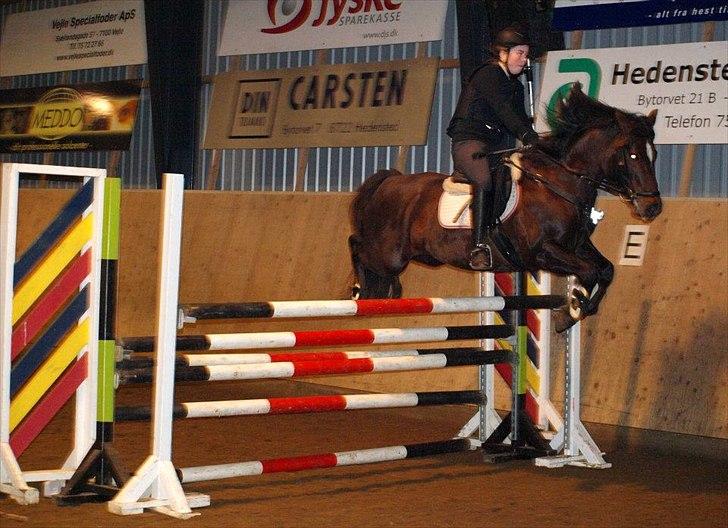 Connemara mølholms sweet scarlett - til højdespring d. 28 dec 2011 vi kom op på 115 cm - mega stolt af hede - <3 billede 16