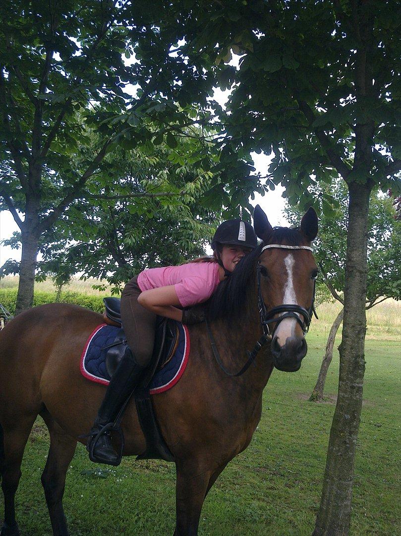 Tysk Sportspony Pamina - Det skønneste egern<3 - Pamina & jeg, efter den første gang jeg sprang på hende<3. billede 19