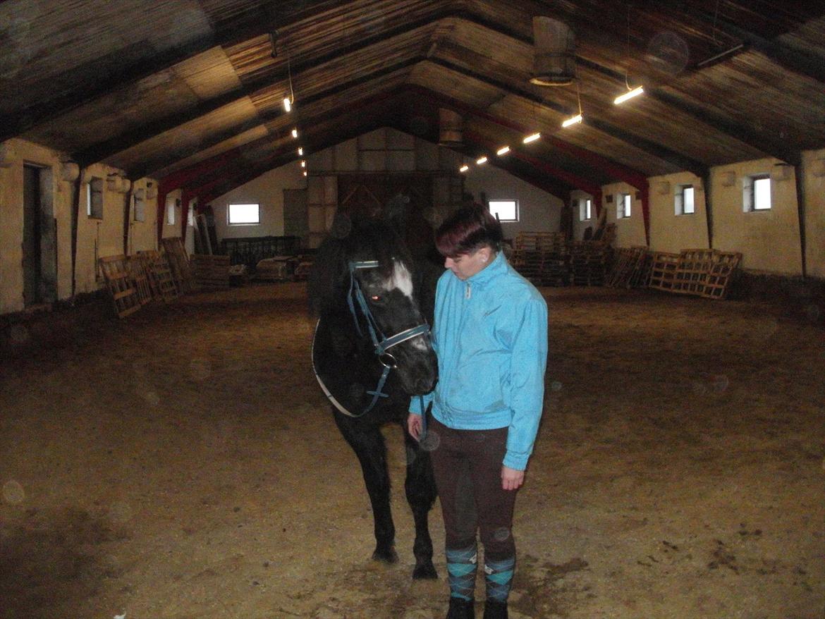 Traver Falkon skotland billede 6