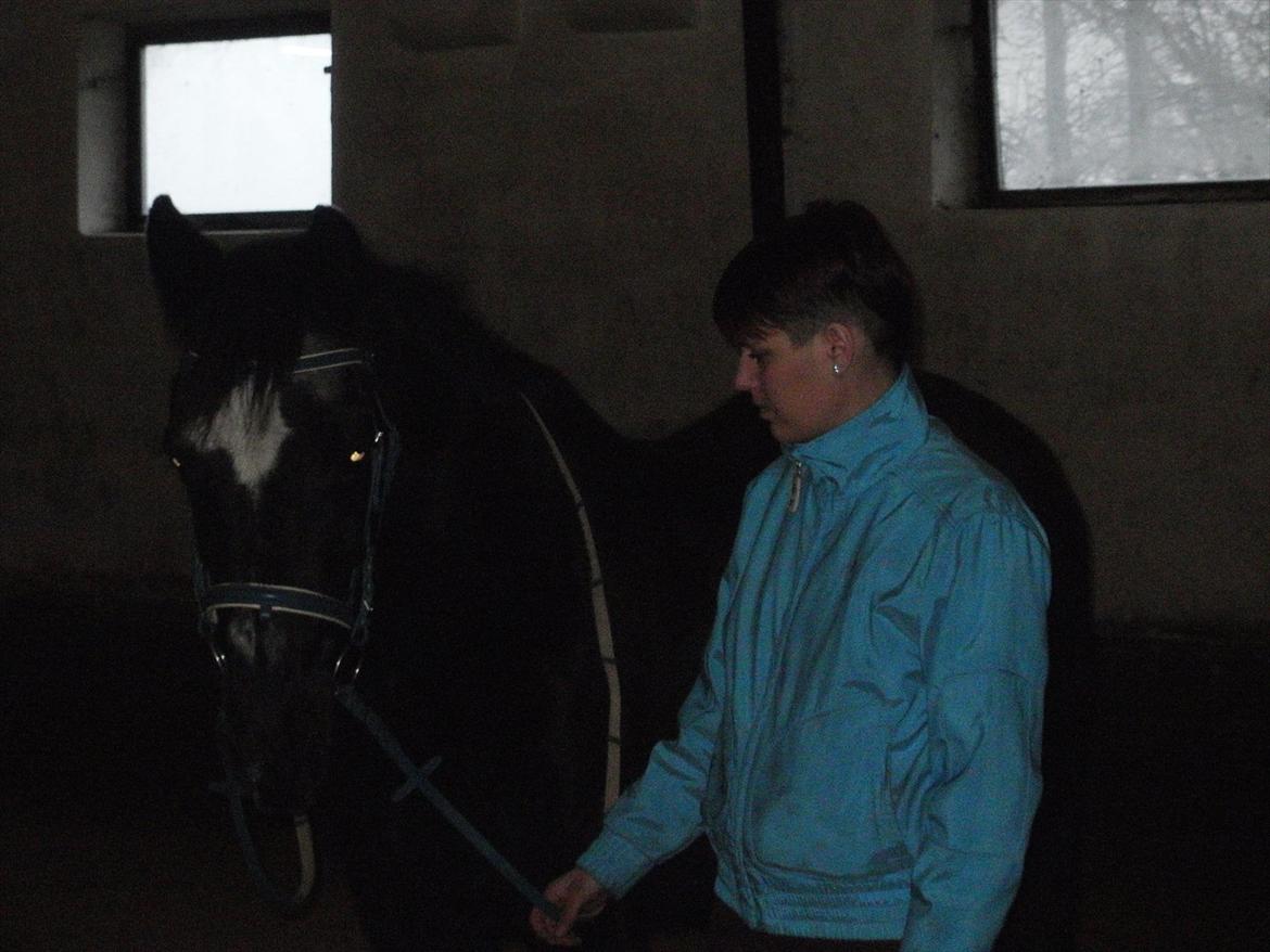 Traver Falkon skotland billede 9