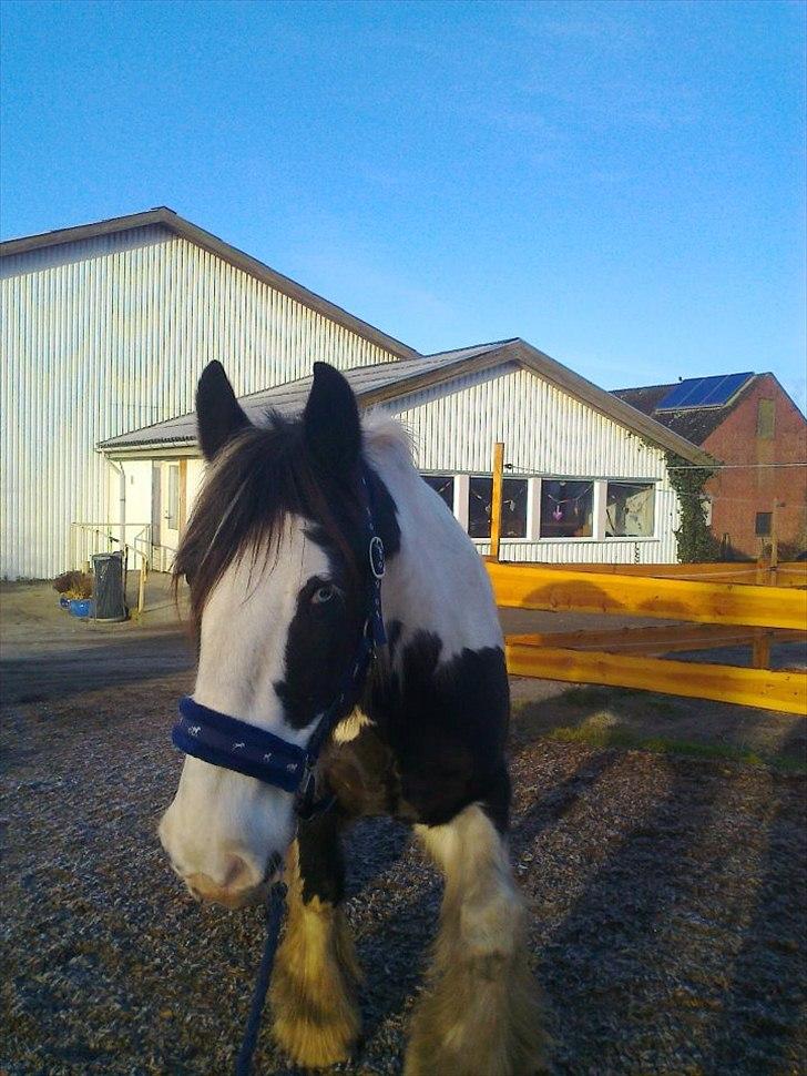 Tinker Nico - hey mor hvad laver du :-) billede 2