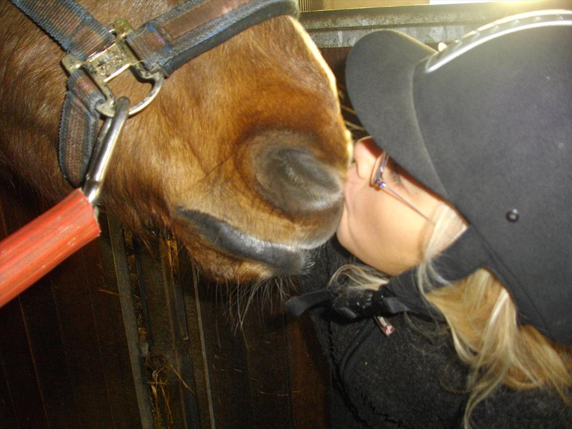 Anden særlig race Tim. <3(red :-'( ) - Et dejligt kys :*

(Foto lillesøs <3) billede 13